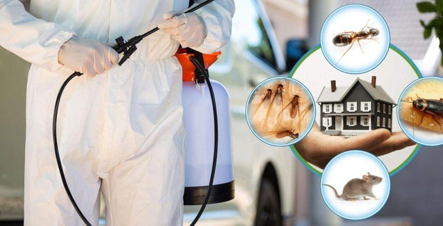 Gümüşpala Böcek İlaçlama