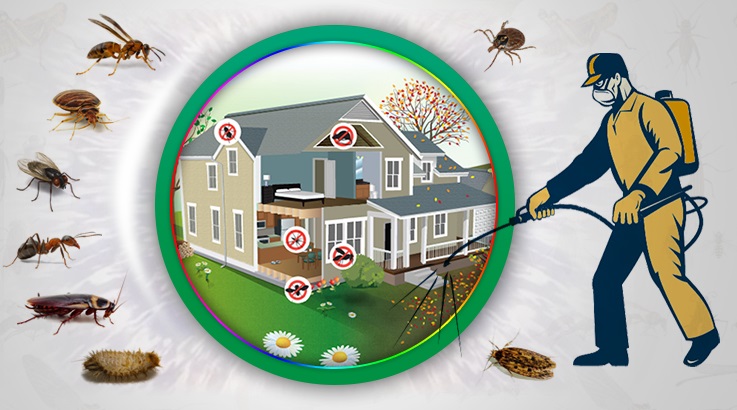 Gümüşpala Böcek İlaçlama