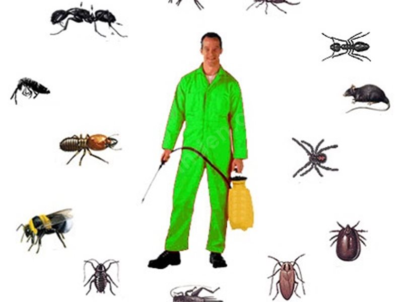 Gümüşpala Böcek İlaçlama